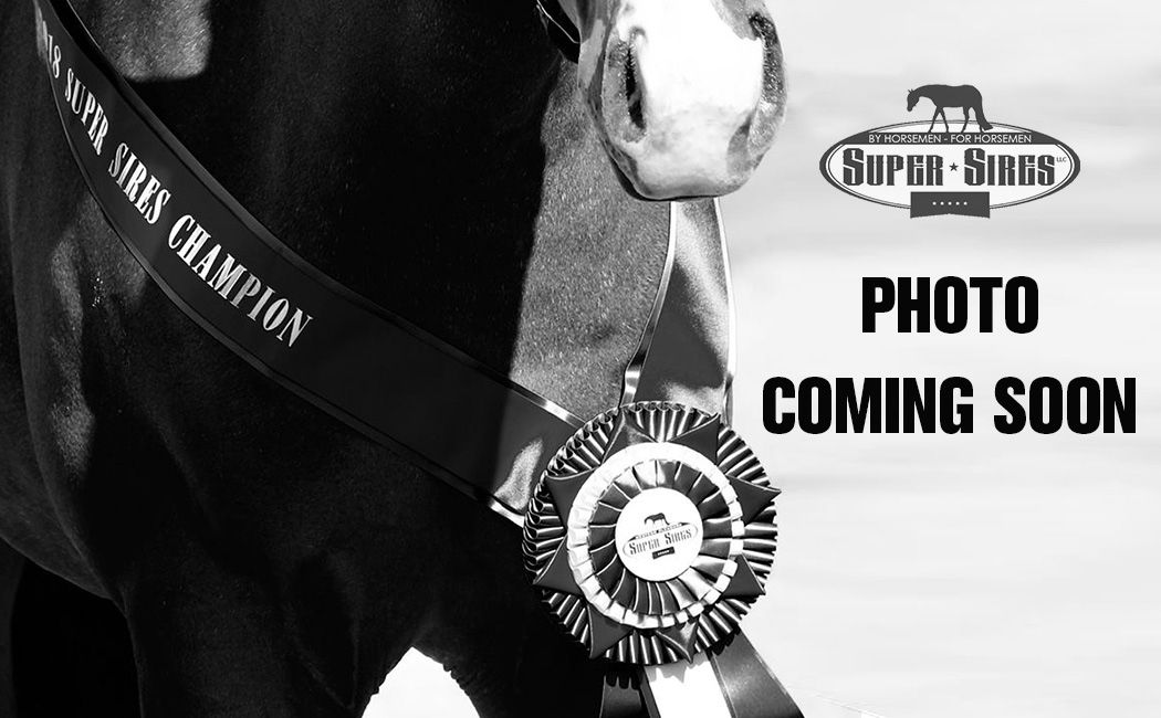 2021 Non-Pro 3-Year-Old Western Pleasure – Limited