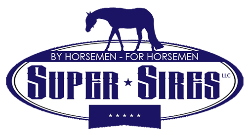 Super Sires logo@2x