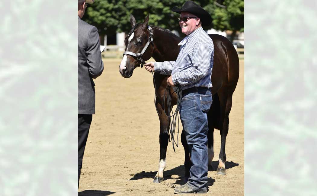 2022 Non-Pro Yearling Longe Line Breeders Purse