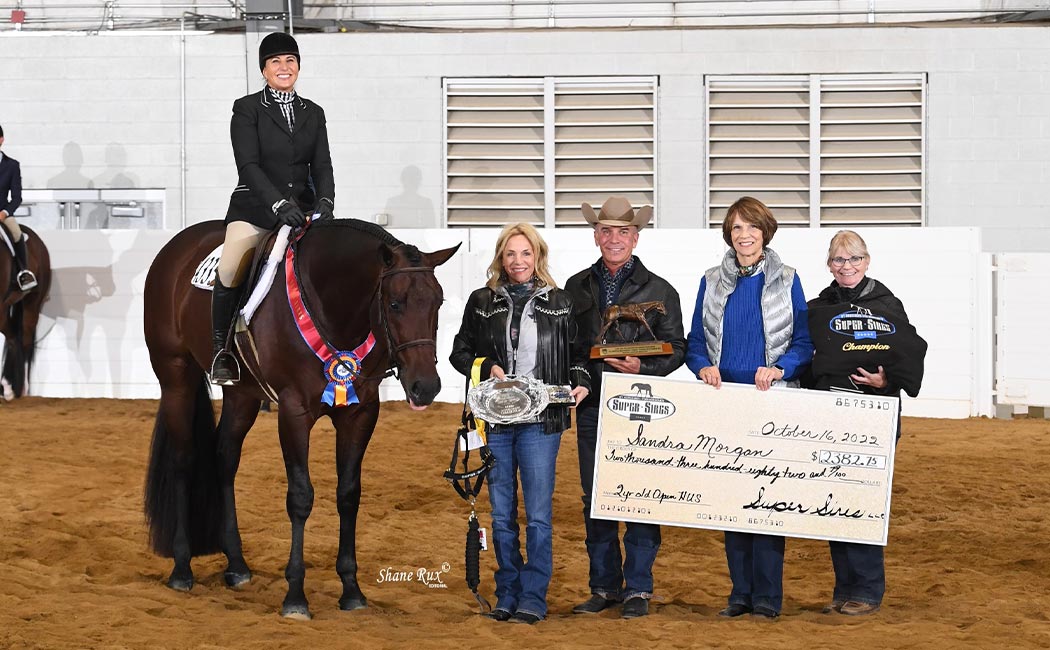 2022 All-American QH Congress 2YO Open Hunter U/S Breeders Purse