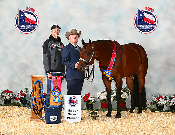 2023 Texas Festival Amateur Select Showmanship
