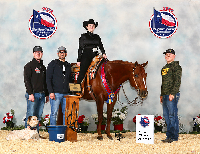 2023 Texas Festival Amateur Western Pleasure