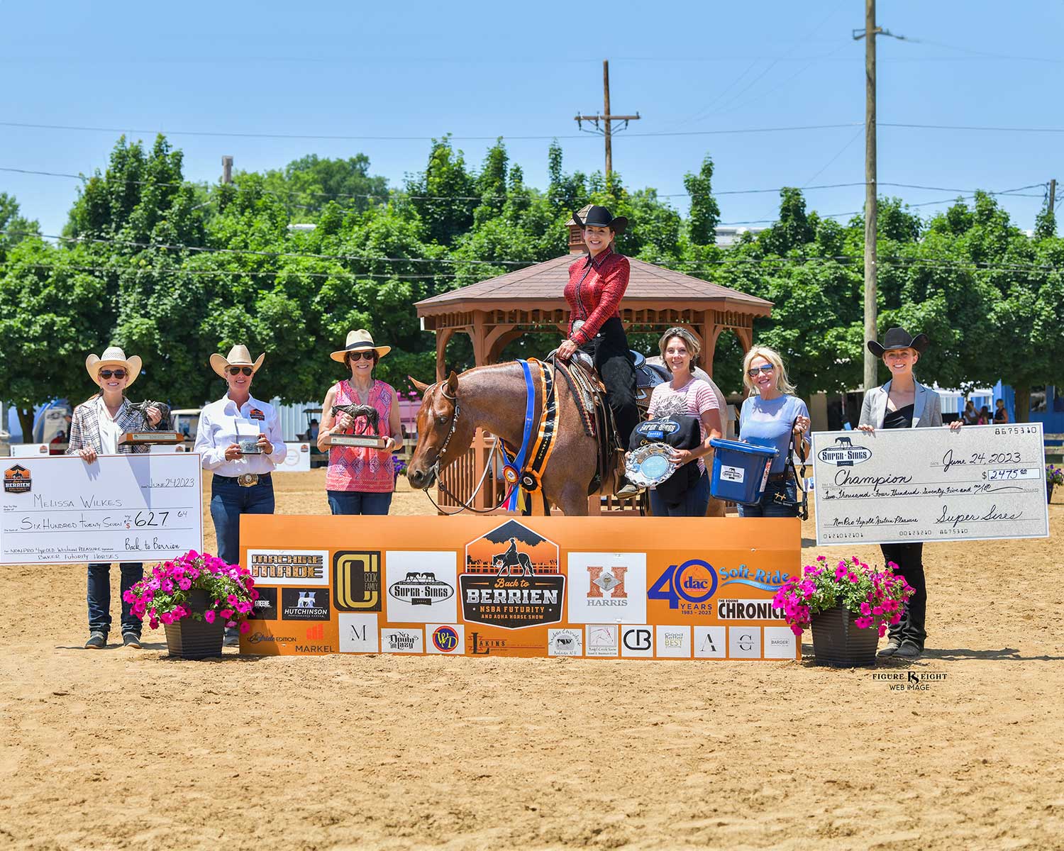 2023 Back To Berrien Non-Pro 4 YO Western Pleasure