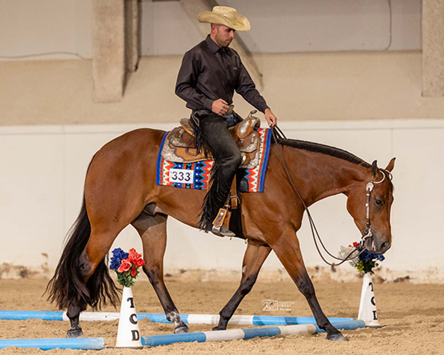 2023 EMO Celebration Green Trail – Stakes Purse