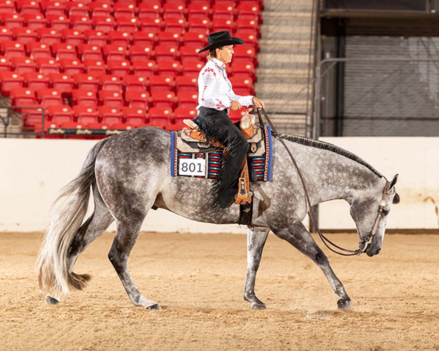 2023 EMO Celebration Green Western Riding – Stakes Purse