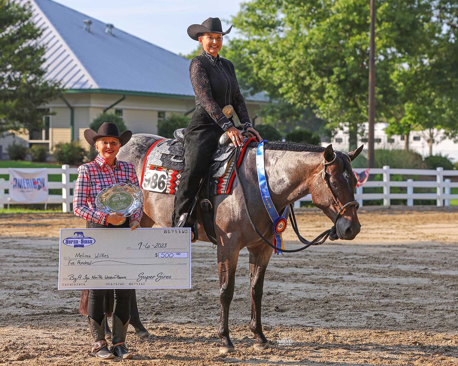 2023 “Big A” Non Pro 3 YO Western Pleasure