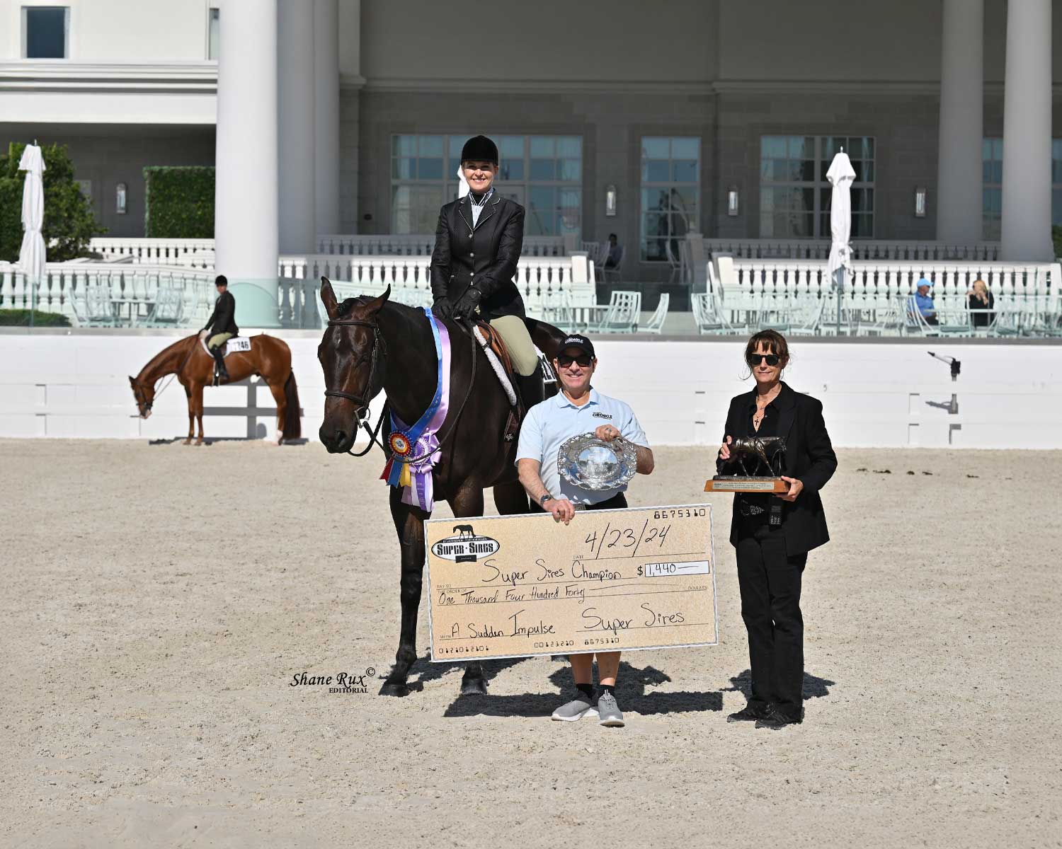 2024 A Sudden Impulse Open 3YO Hunter Under Saddle – Breeders Purse