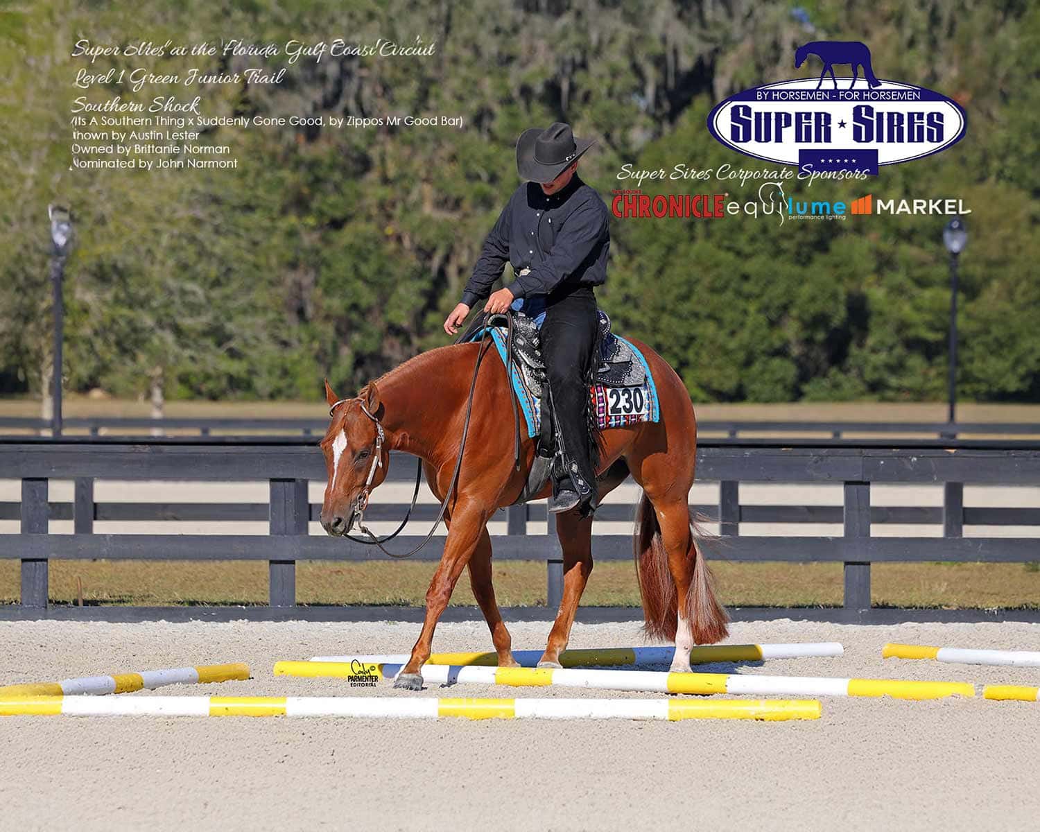 Florida Gulf Coast – Green Junior Trail – Stakes Purse