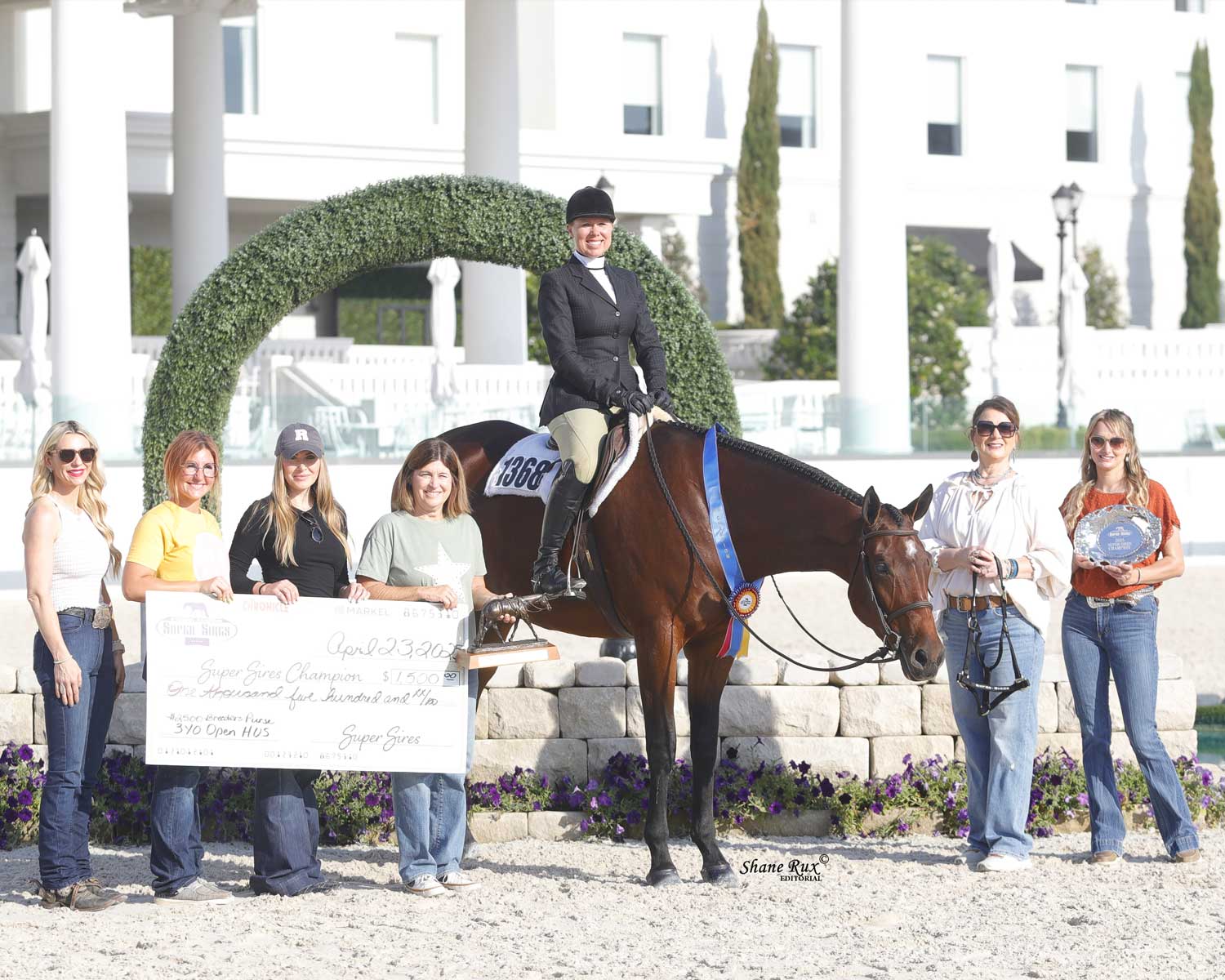 A Sudden Impulse – 3 YO Hunter Under Saddle
