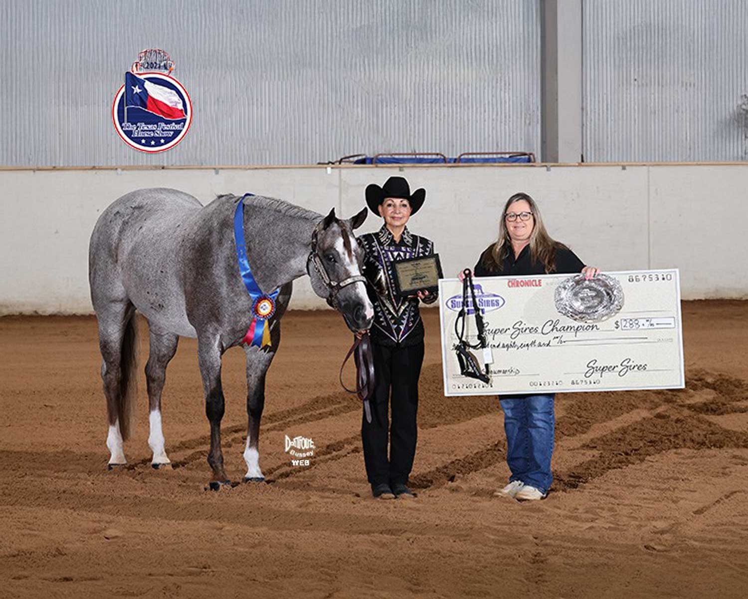 Bluebonnet Festival – Select Showmanship