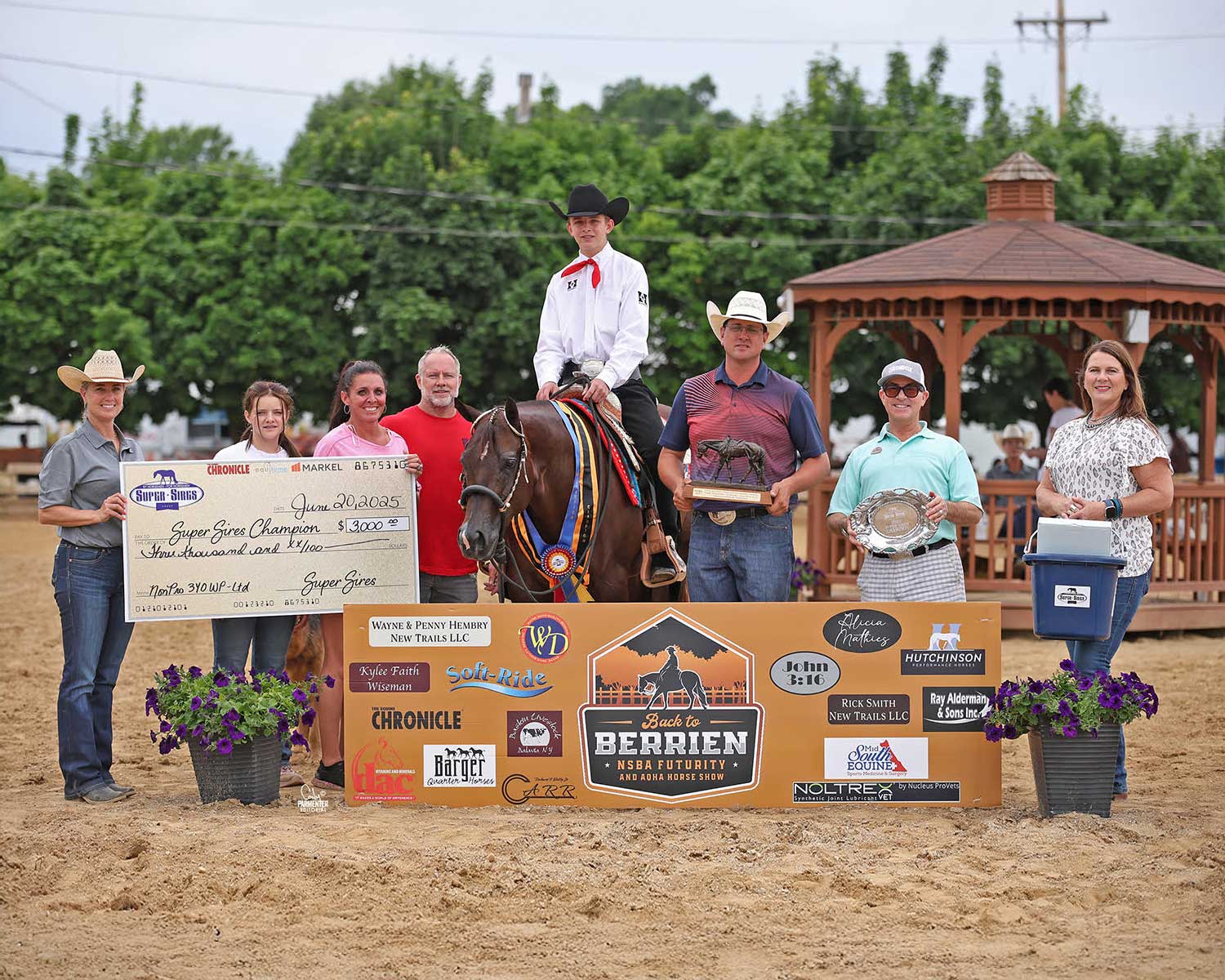 Back to Berrien – Non Pro 3YO Western Pleasure
