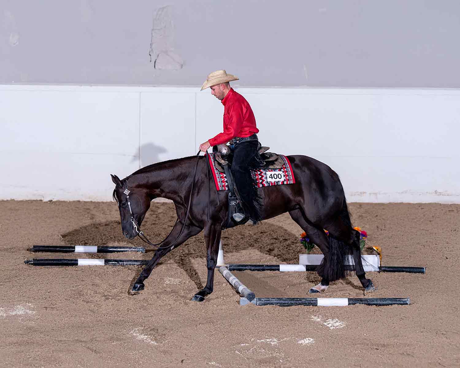 2025 EMO Celebration – Green Trail