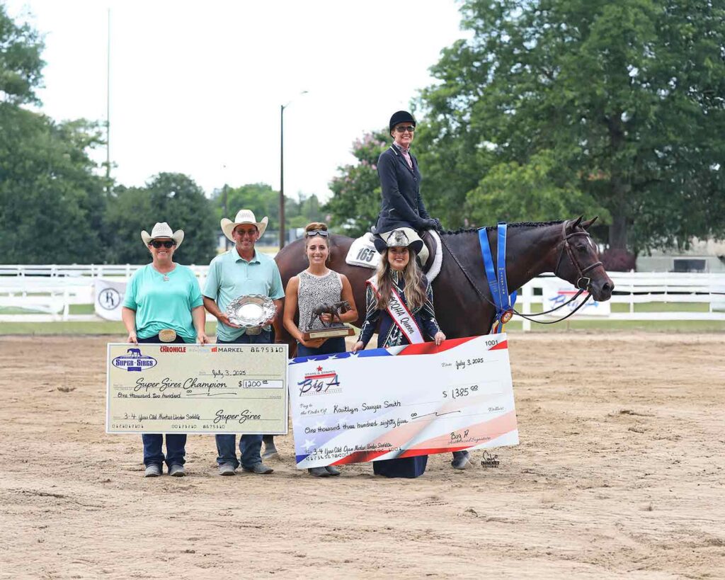 2025 The Big A – 3/4 Years Old Open Hunter Under Saddle