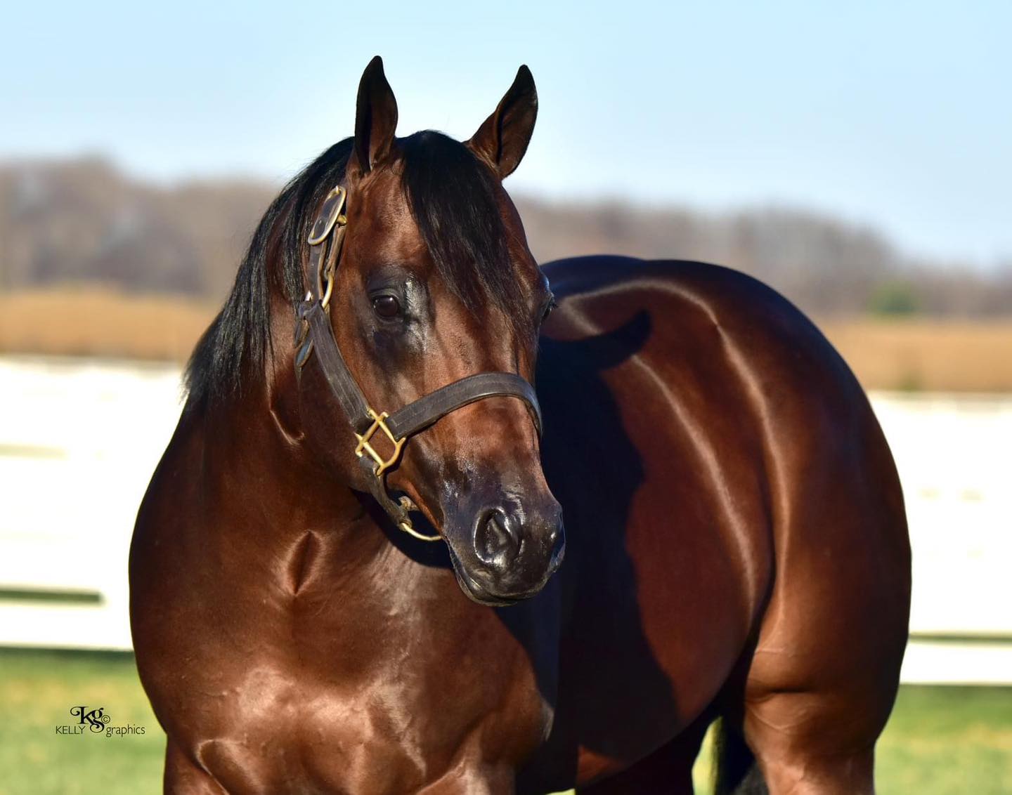 Its A Southern Thing