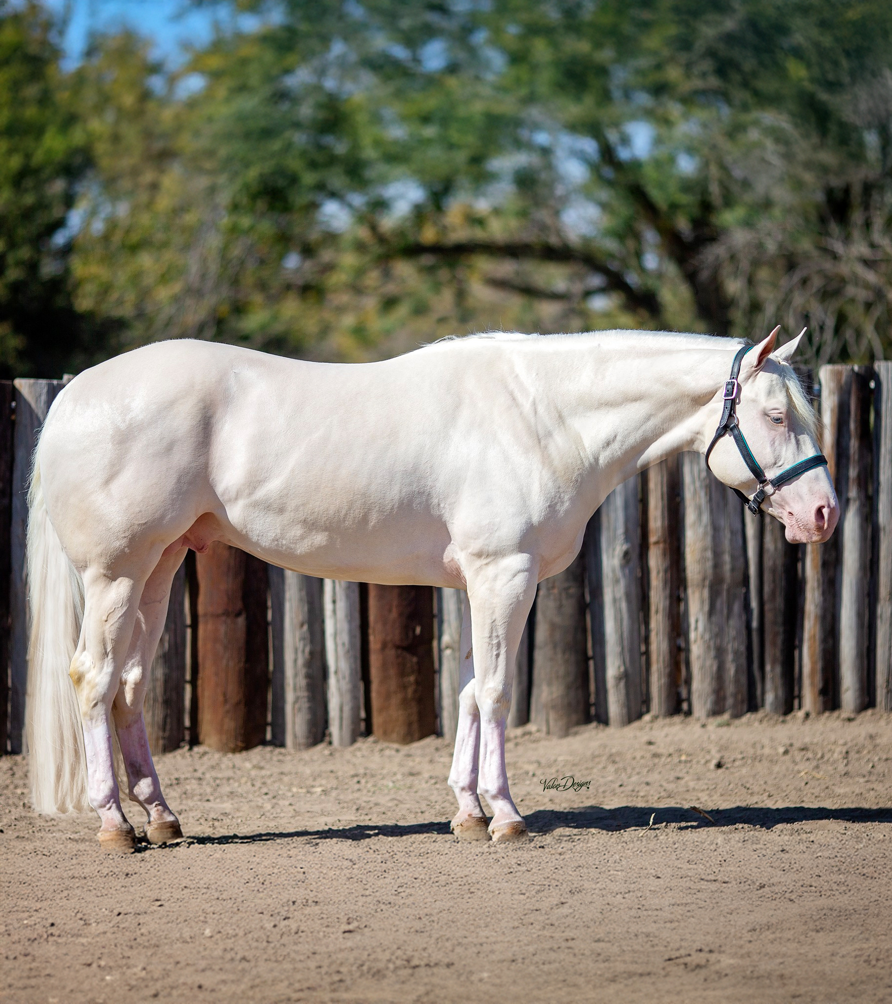 latest results
