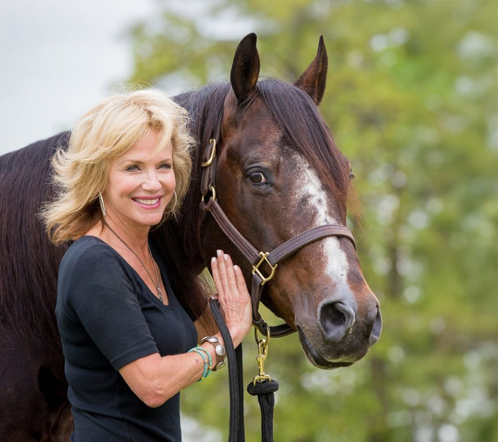 Blazing Hot, AQHA Stallion Blazing Hot