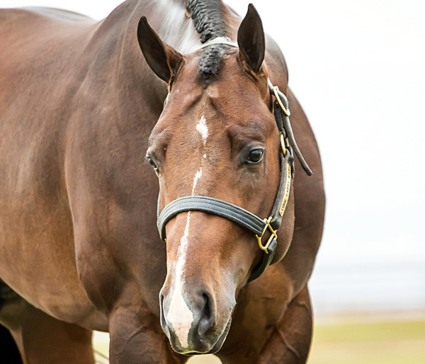 Super-Sires-Cool-Ladys-Man Cool Ladys Man
