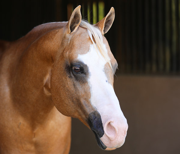 Dimensions Got Style