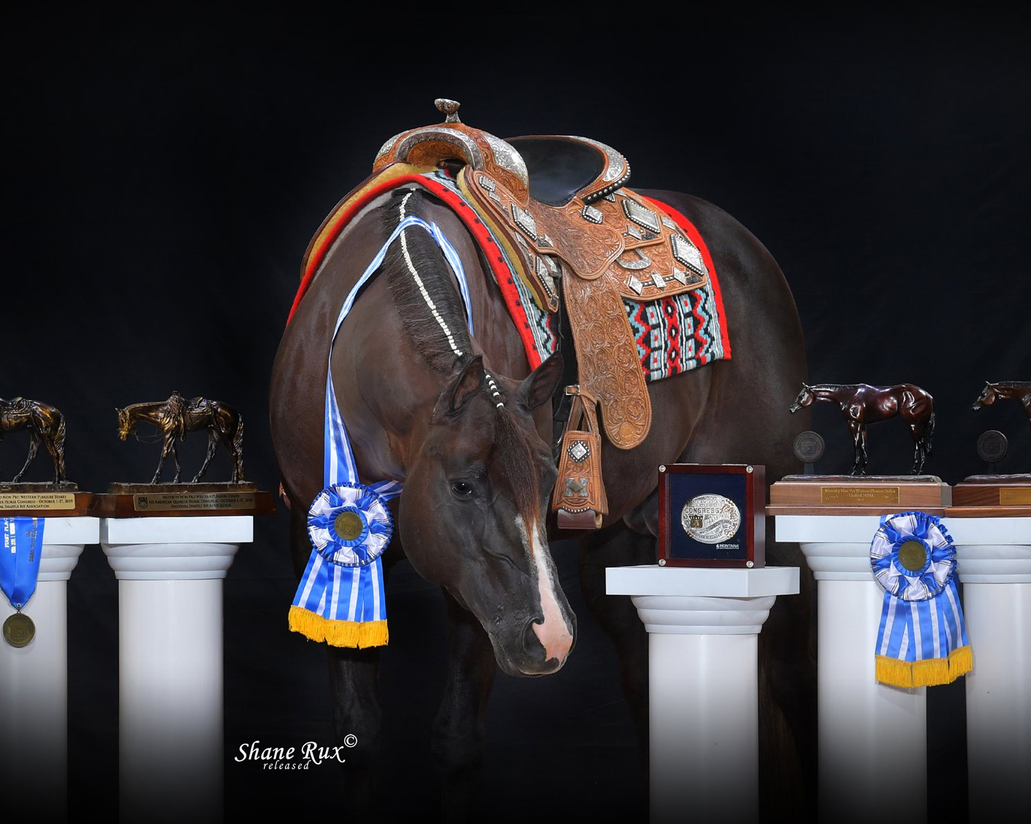 Best Brew At The Bar