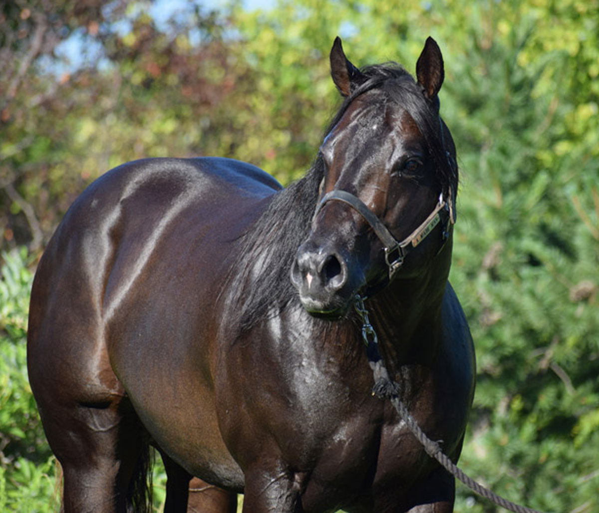 Best Get Your Wallet