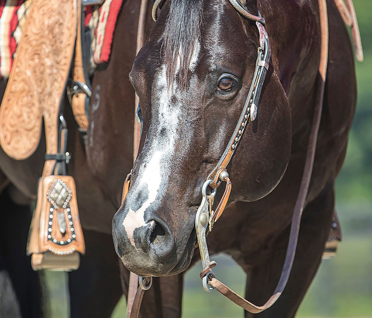 Radical Signs R Good