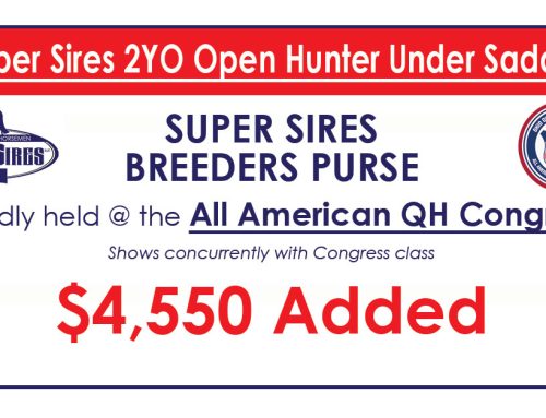 2022 SUPER SIRES 2-YEAR-OLD OPEN HUNTER UNDER SADDLE CLASS