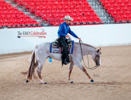 2024 EMO Celebration – Green Western Riding – Stakes Purse