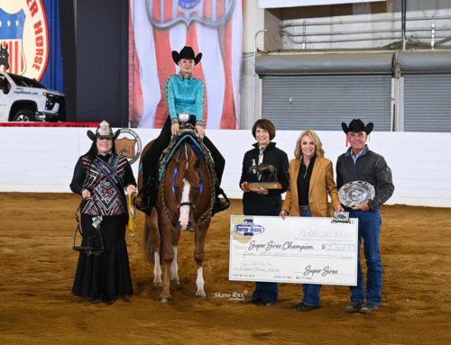 The All American Quarter Horse Congress – Non Pro 3 Year Old Western Pleasure – Limited – BREEDERS PURSE