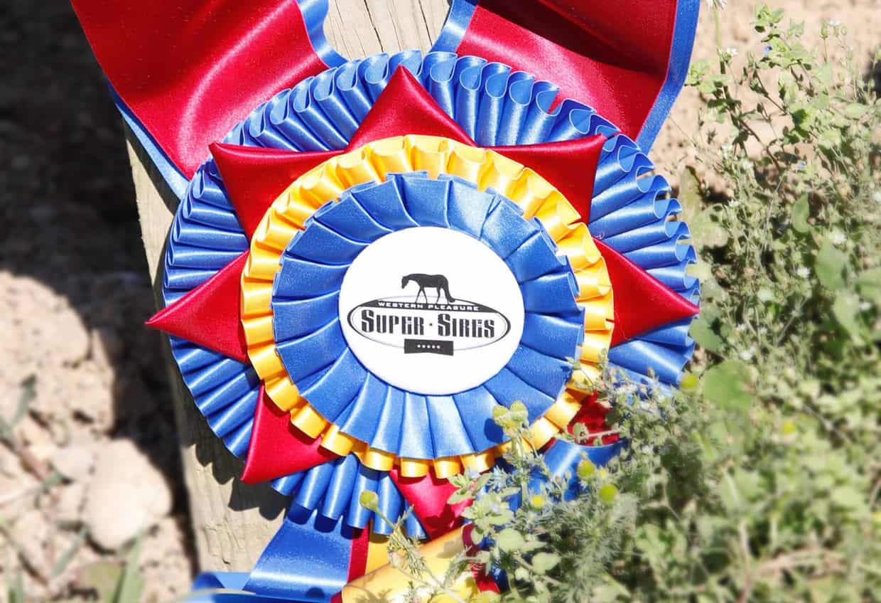 Super Sires Award