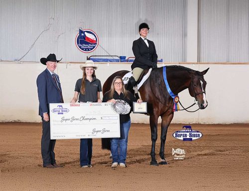 Bluebonnet Festival – Level 1 Hunter Under Saddle
