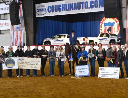 The All American Quarter Horse Congress – Non Pro 3 Year Old Hunter Under Saddle Open