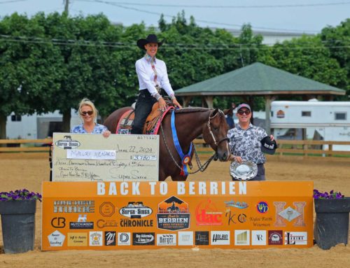 2024 Back to Berrien – Non Pro 3YO Western Pleasure – Open