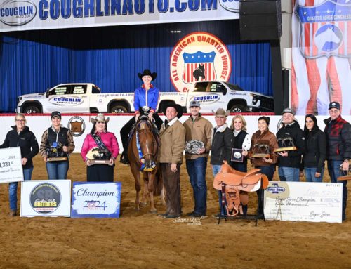 The All American Quarter Horse Congress – Non Pro 3 Year Old Western Pleasure Open