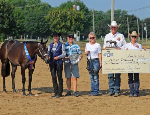 2024 Back to Berrien – Non Pro Yearling Longe Line – Western