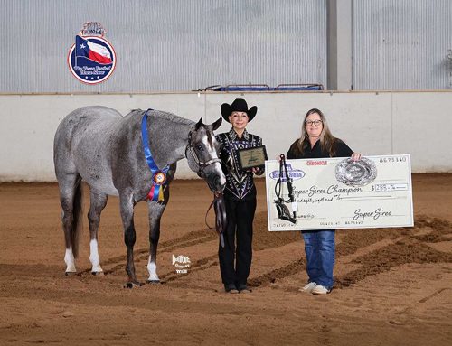 Bluebonnet Festival – Select Showmanship