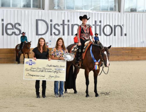 The Championship Show 4YO Open Western Pleasure – Breeders Purse