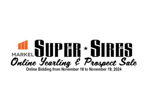 Super Sires Presents Markel Super Sires Online Yearling & Prospect Sale