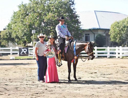 2025 The Big A – Non Pro 3 Years Old Western Pleasure Open