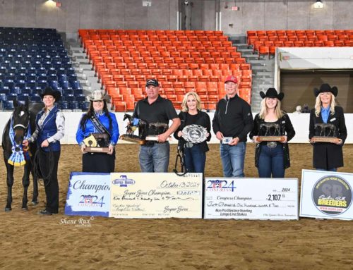 The All American Quarter Horse Congress – Non Pro Yearling Longe Line