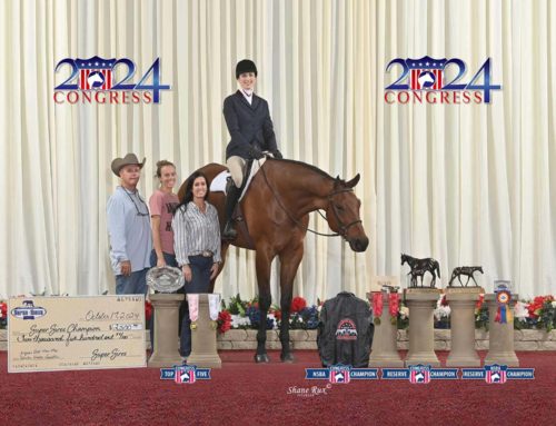 The All American Quarter Horse Congress – Non Pro 3 Year Old Hunter Under Saddle Open