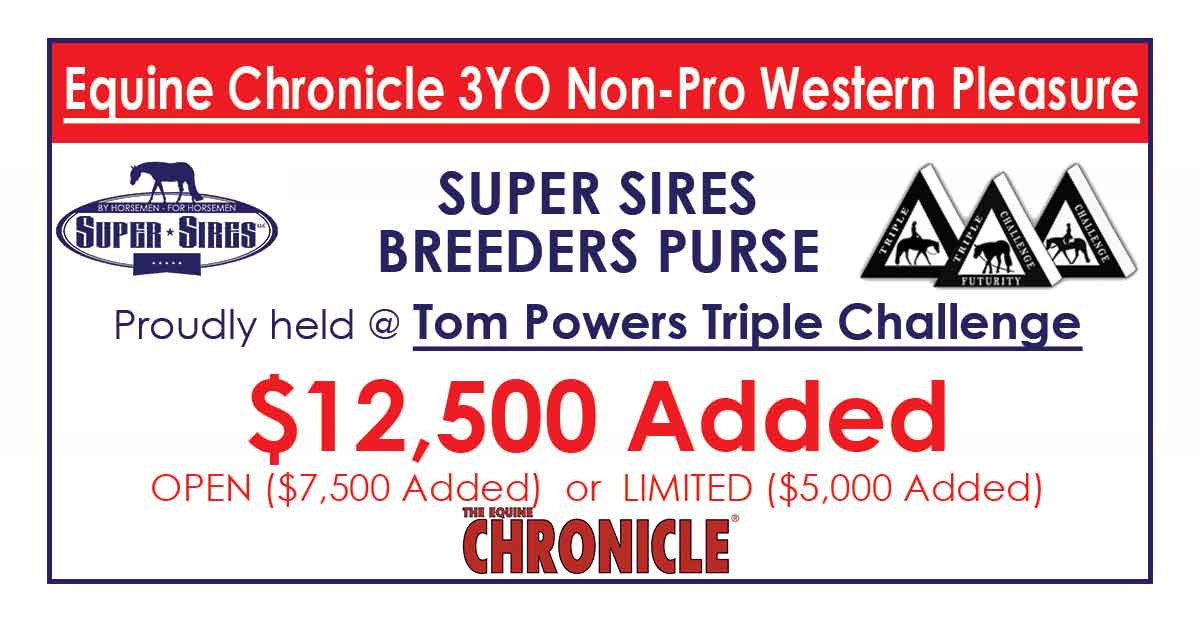 TOM POWERS 3 YEAR OLD WESTERN PLEASURE NON-PRO LIMITED BREEDERS PURSE SUPER SIRES