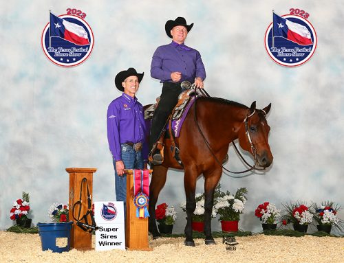 2023 Texas Festival Amateur Select Western Horsemanship