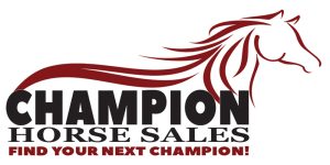 Champion Horse Sales