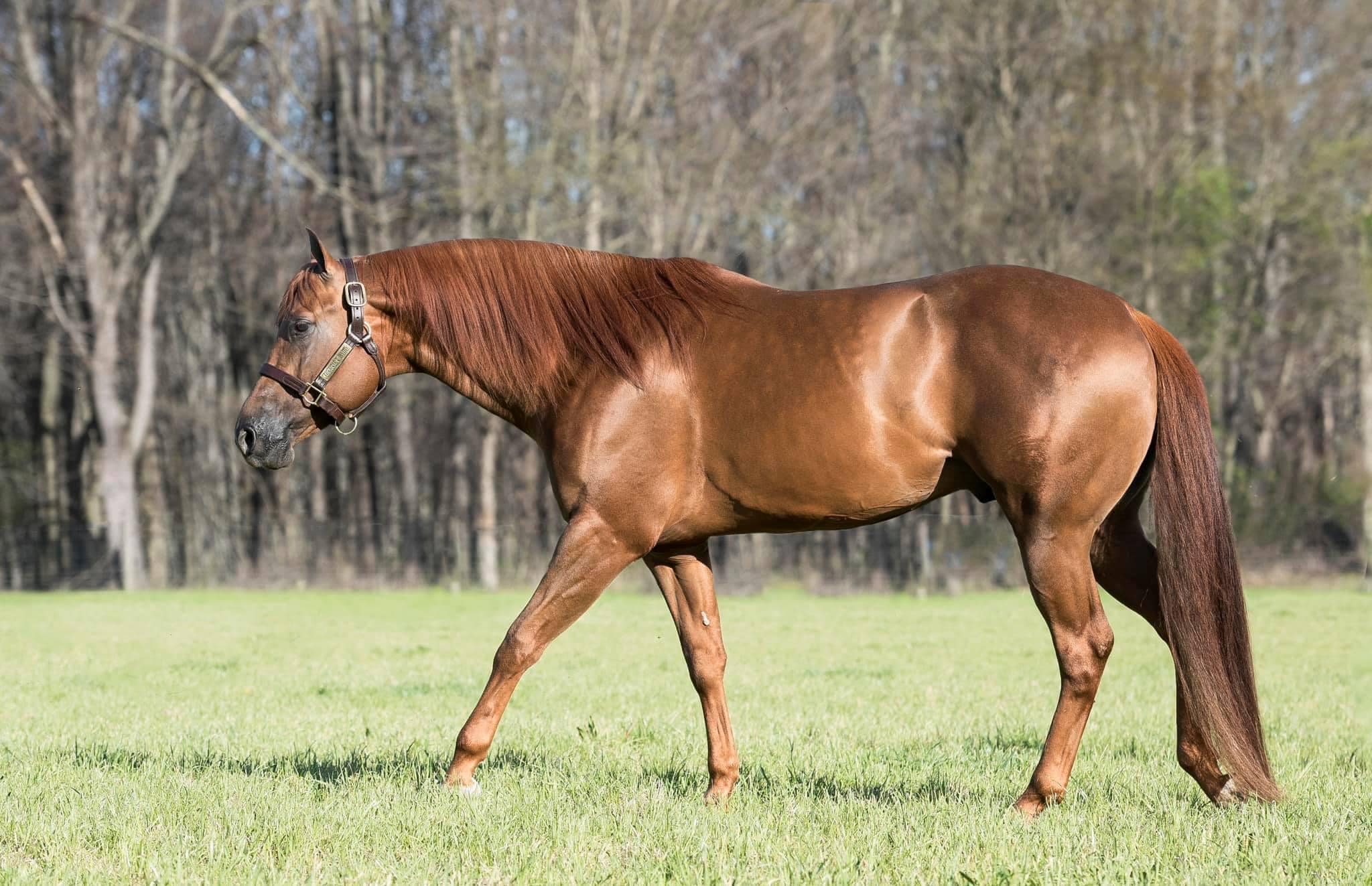 Cowgirls R Invitd Cowgirls R Invitd